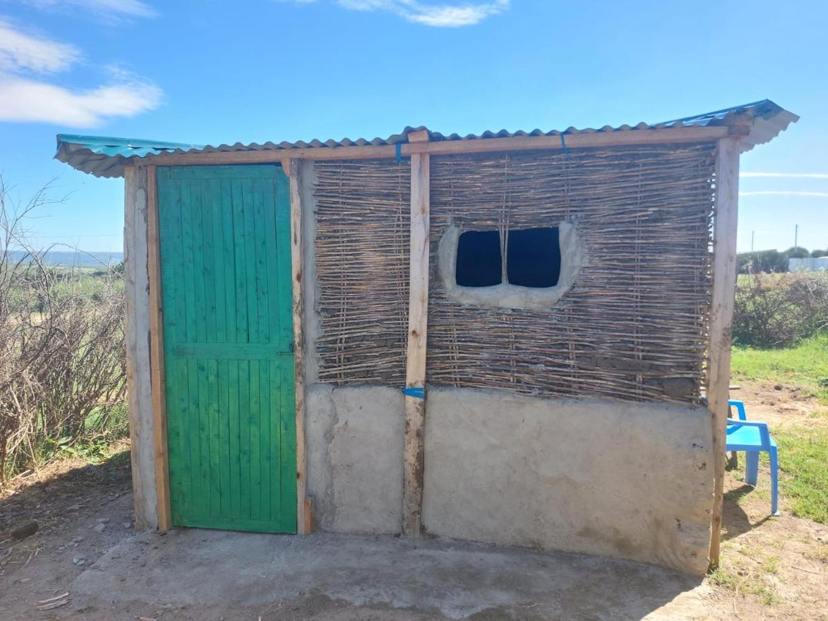Maasai Homestay Camping Sekenani Exteriér fotografie